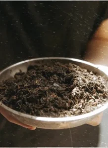 A person holding a bowl of soil, getting ready to start gardening.