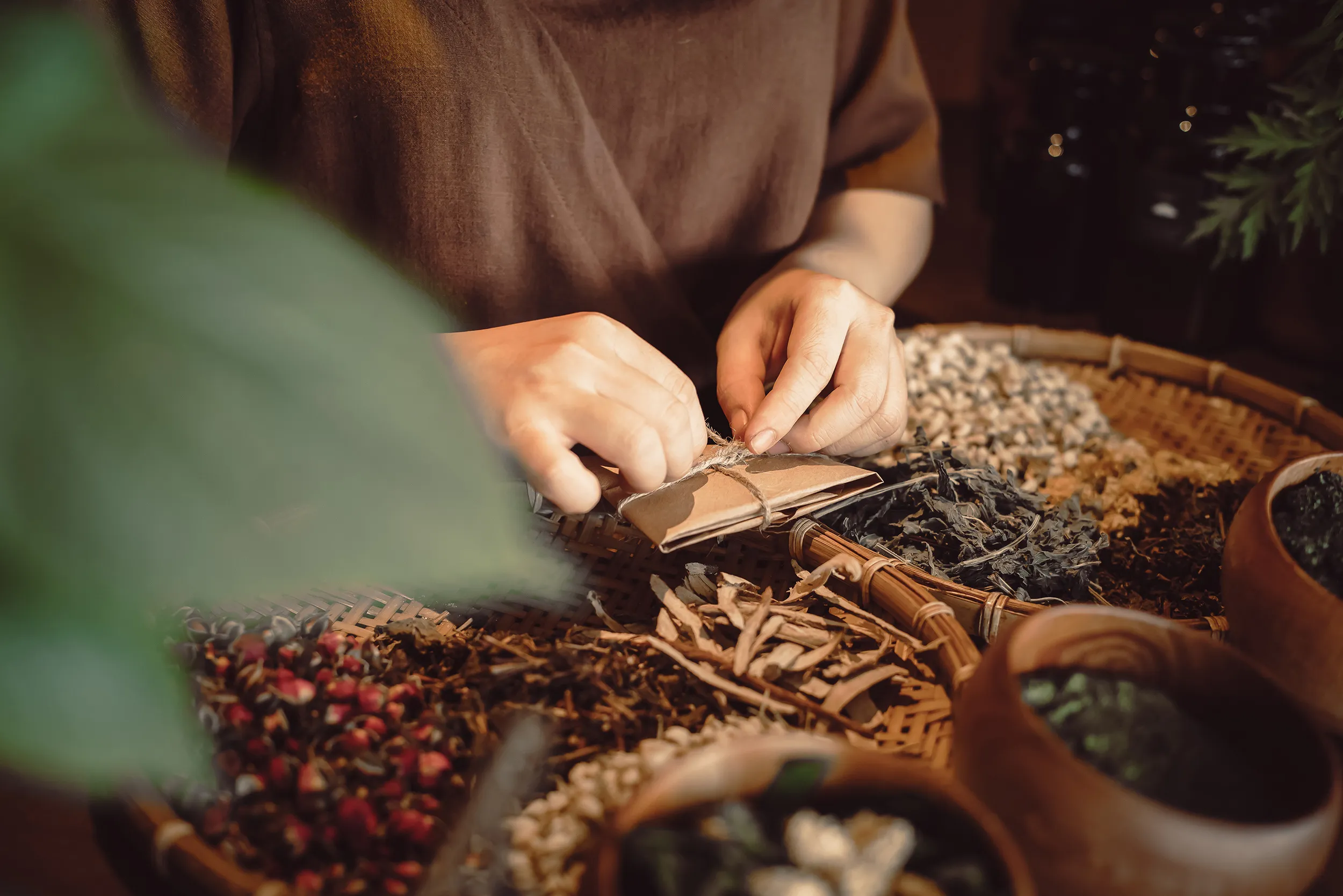 How Southern Herbology Is Blending in Hoi An’s Wellness Tourism