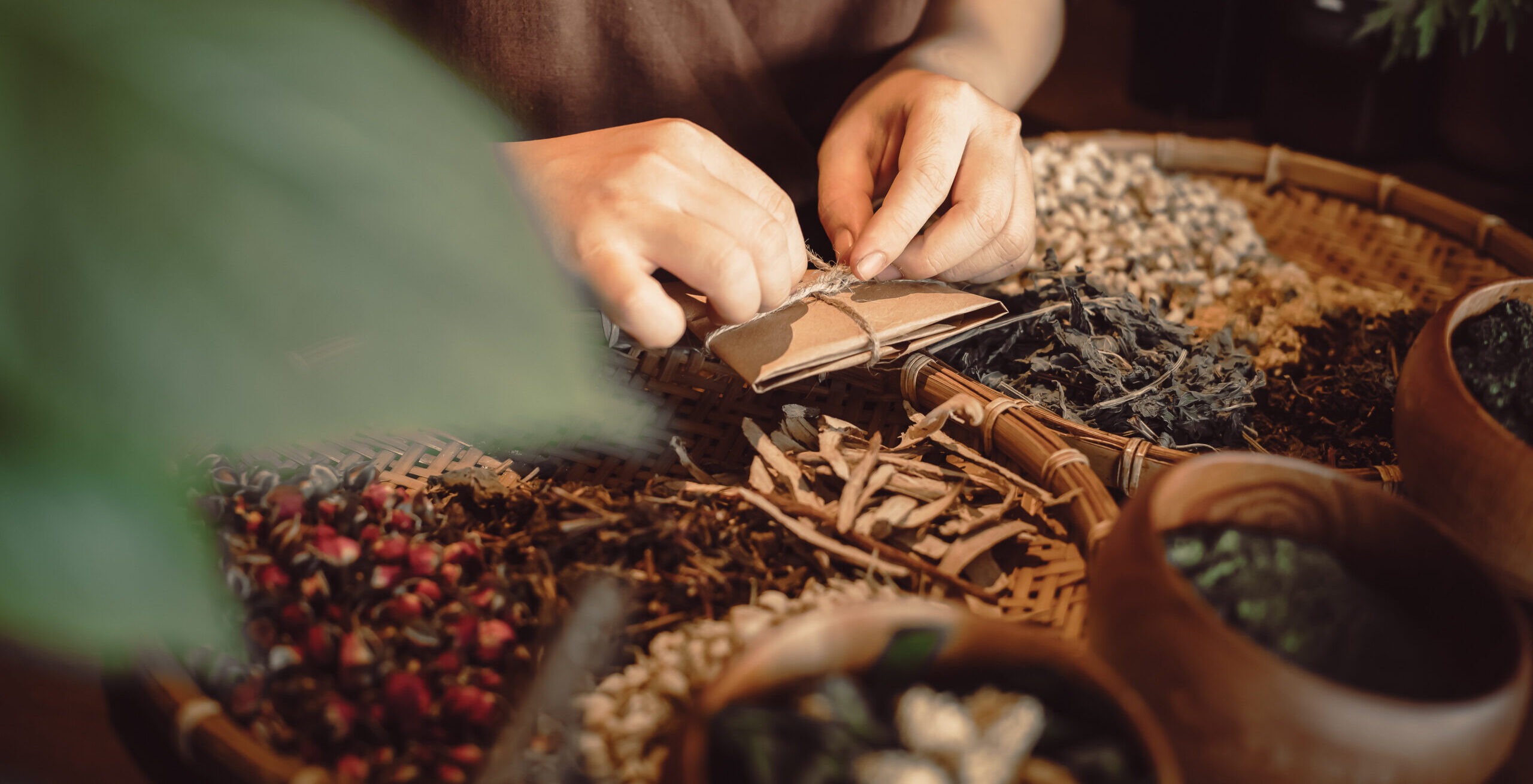 Vietnamese Herbal Detox Retreat